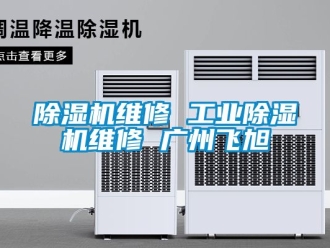 常見問(wèn)題除濕機(jī)維修 工業(yè)除濕機(jī)維修 廣州飛旭