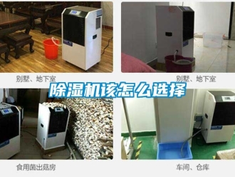 行業(yè)新聞除濕機(jī)該怎么選擇