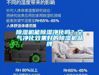 企業(yè)新聞除濕機(jī)能除濕凈化嗎？空氣凈化效果好的除濕機(jī)品牌
