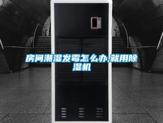 常見問題房間潮濕發霉怎么辦,就用除濕機