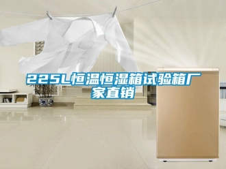 常見問題225L恒溫恒濕箱試驗(yàn)箱廠家直銷