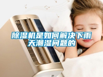 行業(yè)新聞除濕機是如何解決下雨天潮濕問題的