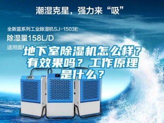 常見問題地下室除濕機怎么樣？有效果嗎？工作原理是什么？