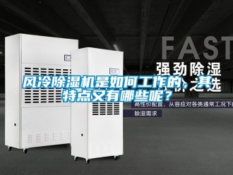 行業(yè)新聞風(fēng)冷除濕機(jī)是如何工作的，其特點(diǎn)又有哪些呢？