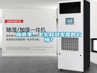 常見問題梅雨季，怎么釋放發霉的心情？