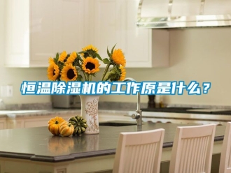 知識百科恒溫除濕機的工作原是什么？