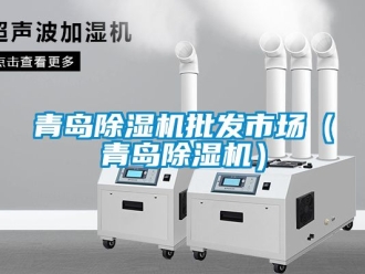 行業(yè)新聞青島除濕機(jī)批發(fā)市場(chǎng)（青島除濕機(jī)）