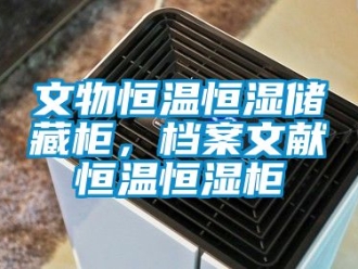 知識(shí)百科文物恒溫恒濕儲(chǔ)藏柜，檔案文獻(xiàn)恒溫恒濕柜