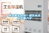 除濕機怎么選？建議從這些方面入手