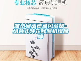常見問題濰坊安適德通風(fēng)設(shè)備-組合式轉(zhuǎn)輪除濕機(jī)組品牌