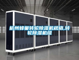 常見問題杭州蜂巢轉輪除濕機規格,轉輪除濕機組