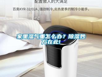 常見問題家里濕氣重怎么辦？除濕妙方在此!