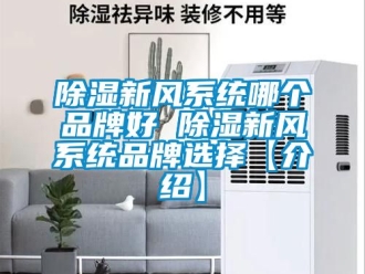 行業新聞除濕新風系統哪個品牌好 除濕新風系統品牌選擇【介紹】