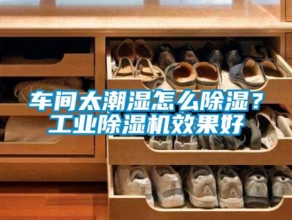 常見問題車間太潮濕怎么除濕？工業(yè)除濕機(jī)效果好