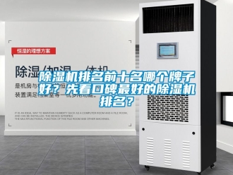 行業(yè)新聞除濕機排名前十名哪個牌子好？先看口碑最好的除濕機排名？