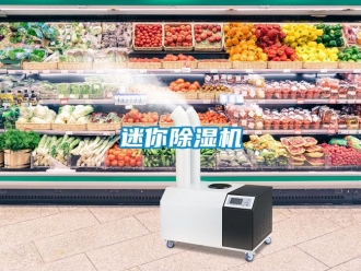 行業(yè)新聞迷你除濕機(jī)