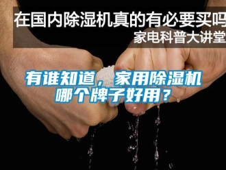 常見問題有誰知道，家用除濕機哪個牌子好用？