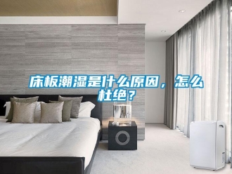 常見問題床板潮濕是什么原因，怎么杜絕？