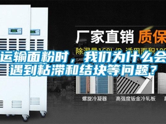 常見問題運輸面粉時，我們為什么會遇到粘滯和結塊等問題？