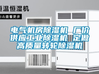 常見問題電氣機房除濕機 廠價供應工業除濕機 定做高質量轉輪除濕機