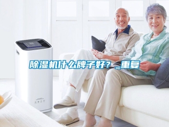 行業(yè)新聞除濕機什么牌子好？_重復(fù)