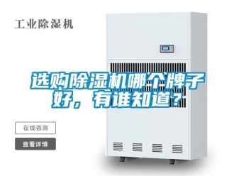 行業新聞選購除濕機哪個牌子好，有誰知道？
