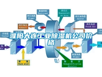 常見問題濮陽大連工業除濕機公司價格