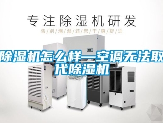 行業(yè)新聞除濕機怎么樣—空調無法取代除濕機