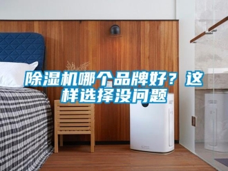 常見問題除濕機哪個品牌好？這樣選擇沒問題