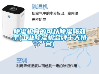 常見問(wèn)題除濕機(jī)真的可以除濕嗎知乎(工業(yè)除濕機(jī)品牌十大排名)