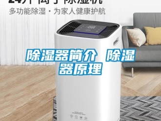 行業新聞除濕器簡介 除濕器原理