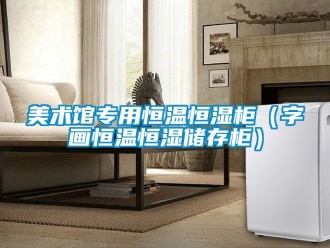 知識百科美術(shù)館專用恒溫恒濕柜（字畫恒溫恒濕儲存柜）