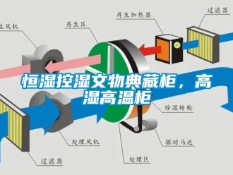 知識百科恒濕控濕文物典藏柜，高濕高溫柜