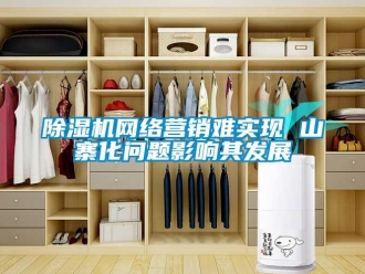 常見問題除濕機網絡營銷難實現 山寨化問題影響其發展