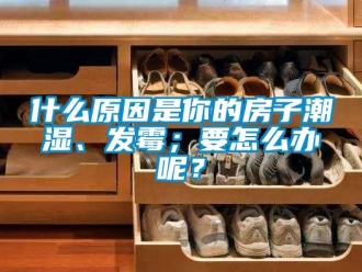 常見問題什么原因是你的房子潮濕、發(fā)霉；要怎么辦呢？