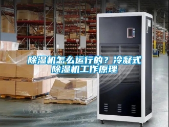 常見問題除濕機怎么運行的？冷凝式除濕機工作原理