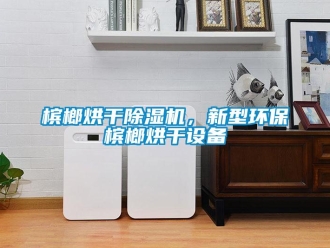 常見問題檳榔烘干除濕機，新型環保檳榔烘干設備