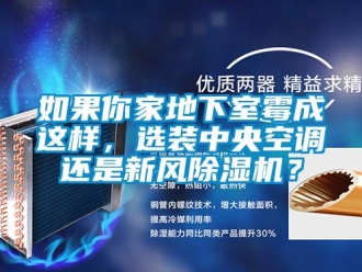 行業(yè)新聞如果你家地下室霉成這樣，選裝中央空調(diào)還是新風(fēng)除濕機(jī)？