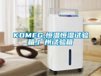 常見問題KOMEG,恒溫恒濕試驗(yàn)箱,廣州試驗(yàn)箱