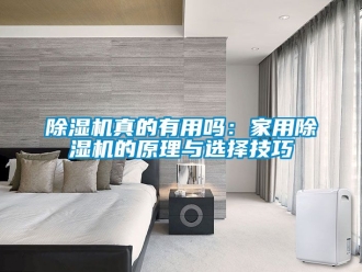 常見問(wèn)題除濕機(jī)真的有用嗎：家用除濕機(jī)的原理與選擇技巧