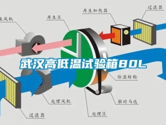 常見(jiàn)問(wèn)題武漢高低溫試驗(yàn)箱80L