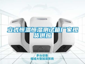 知識百科立式恒溫恒濕測試箱廠家現(xiàn)貨供應