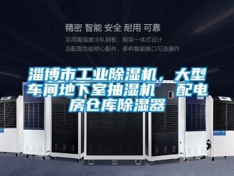 常見問題淄博市工業(yè)除濕機，大型車間地下室抽濕機  配電房倉庫除濕器