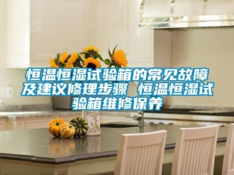 知識(shí)百科恒溫恒濕試驗(yàn)箱的常見故障及建議修理步驟 恒溫恒濕試驗(yàn)箱維修保養(yǎng)