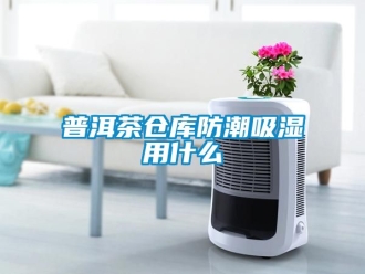 常見問題普洱茶倉庫防潮吸濕用什么