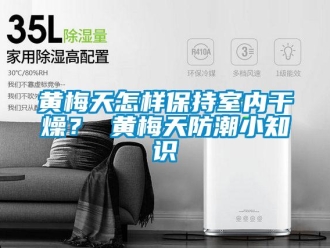 常見問題黃梅天怎樣保持室內干燥？ 黃梅天防潮小知識