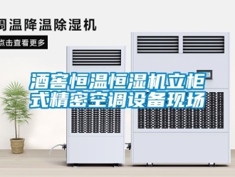 知識(shí)百科酒窖恒溫恒濕機(jī)立柜式精密空調(diào)設(shè)備現(xiàn)場(chǎng)