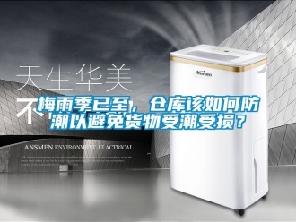 常見問題梅雨季已至，倉庫該如何防潮以避免貨物受潮受損？