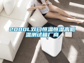 常見問題2000L雙門恒溫恒濕高低溫測試箱廠商