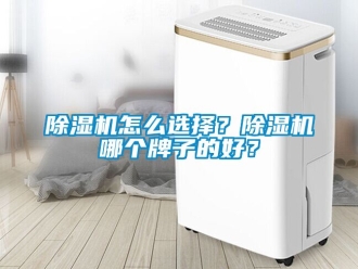行業(yè)新聞除濕機(jī)怎么選擇？除濕機(jī)哪個(gè)牌子的好？